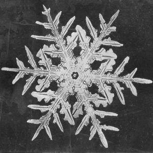 fractyll-21-snowflake