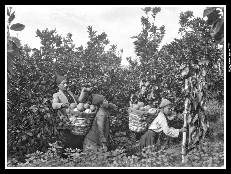 Oscar Nominated Palestinian film